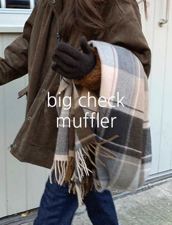 big check muffler
